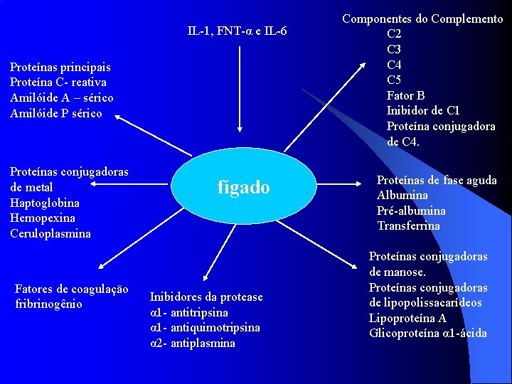 IL-1, FNT-α e IL-6 Proteínas principais Proteína C- reativa Amilóide A – sérico Amilóide