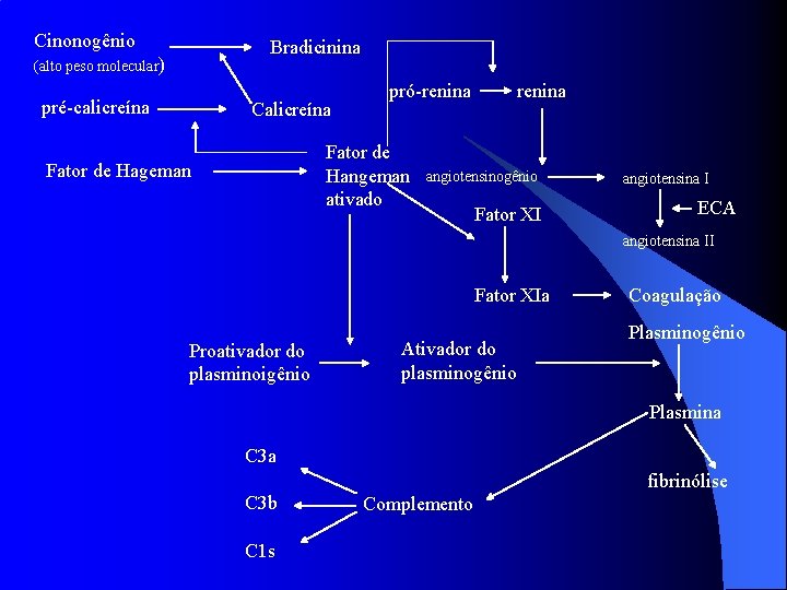 Cinonogênio Bradicinina (alto peso molecular) pré-calicreína Calicreína pró-renina Fator de Hangeman ativado Fator de