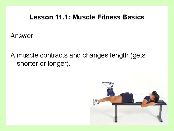 Lesson 11. 1: Muscle Fitness Basics Answer A muscle contracts and changes length (gets