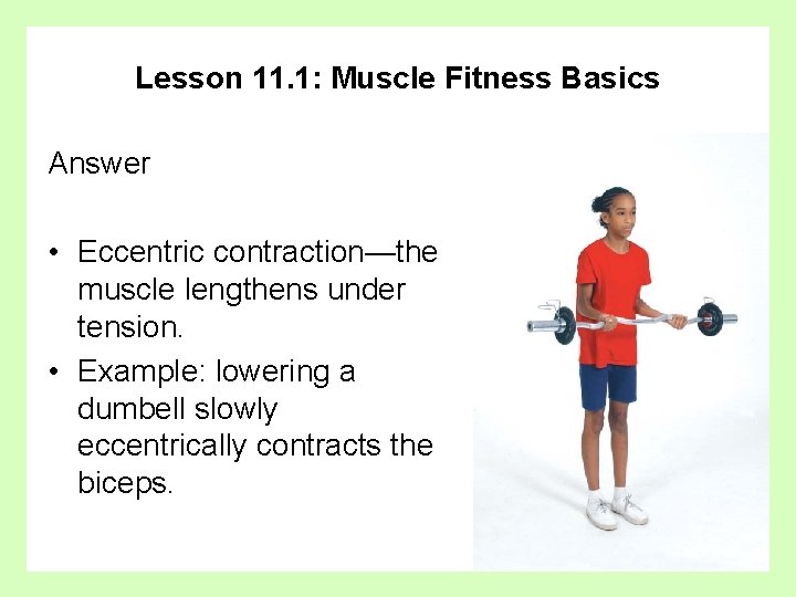 Lesson 11. 1: Muscle Fitness Basics Answer • Eccentric contraction—the muscle lengthens under tension.