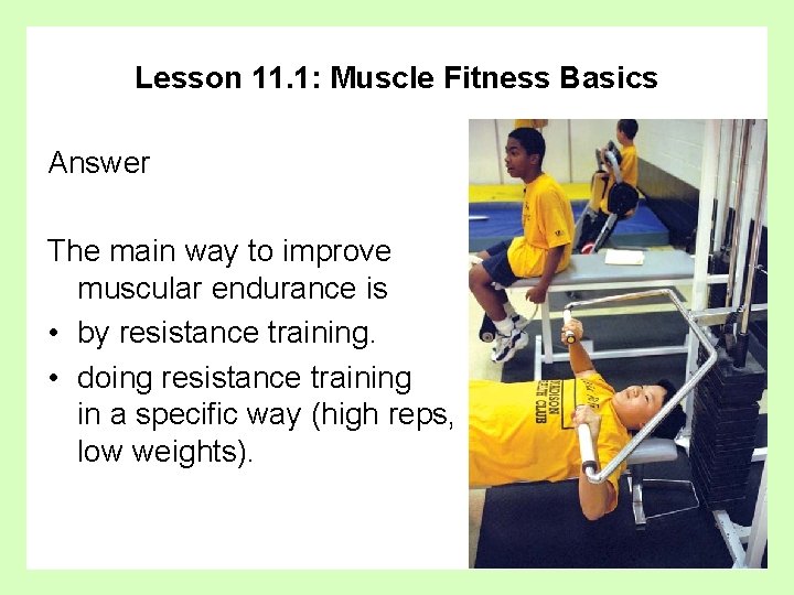 Lesson 11. 1: Muscle Fitness Basics Answer The main way to improve muscular endurance