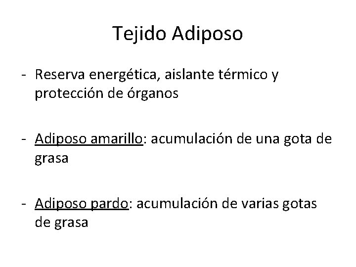 Tejido Adiposo - Reserva energética, aislante térmico y protección de órganos - Adiposo amarillo: