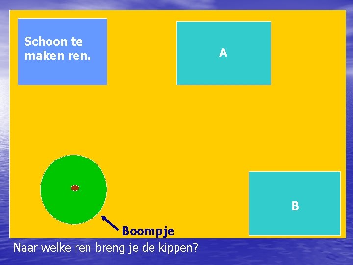 Schoon te maken ren. A B Boompje Naar welke ren breng je de kippen?