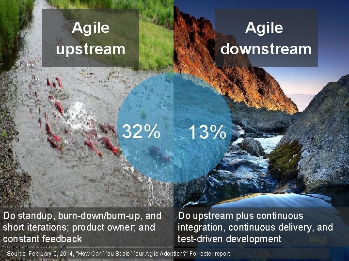 Agile upstream 32% Do standup, burn-down/burn-up, and short iterations; product owner; and constant feedback