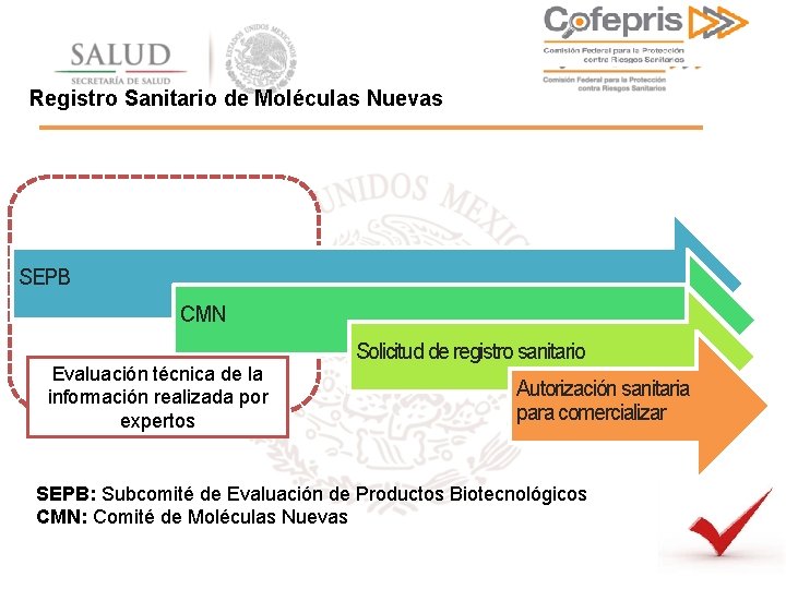 Registro Sanitario de Moléculas Nuevas SEPB CMN Evaluación técnica de la información realizada por