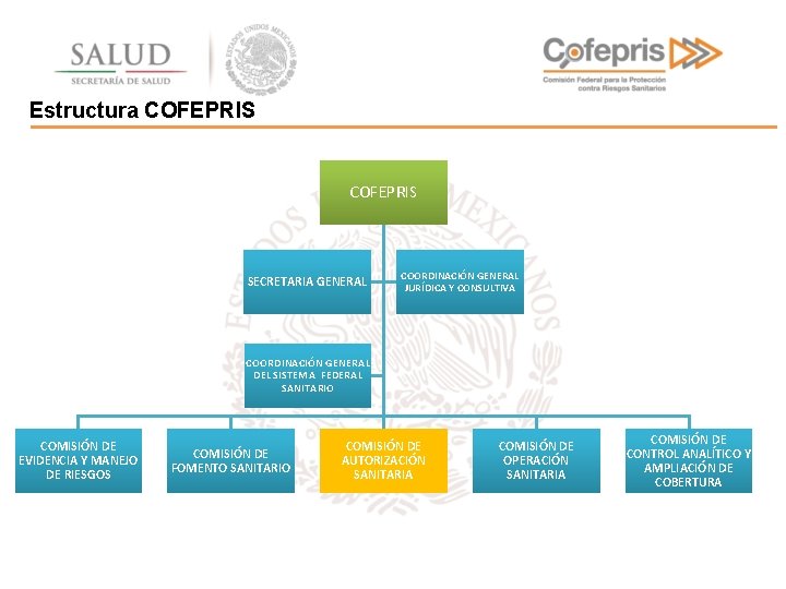 Estructura COFEPRIS SECRETARIA GENERAL COORDINACIÓN GENERAL JURÍDICA Y CONSULTIVA COORDINACIÓN GENERAL DEL SISTEMA FEDERAL