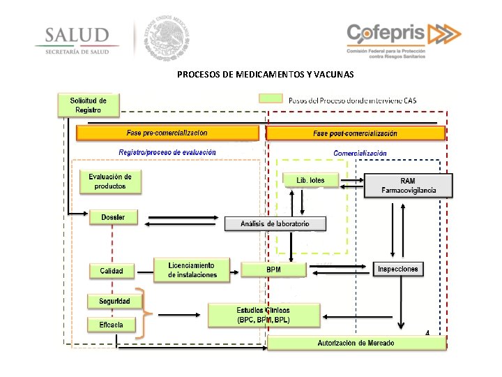 PROCESOS DE MEDICAMENTOS Y VACUNAS 