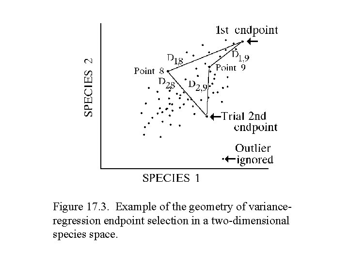 Figure 17. 3. Example of the geometry of varianceregression endpoint selection in a two-dimensional