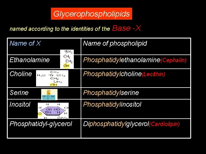 Glycerophospholipids named according to the identities of the Base -X Name of phospholipid Ethanolamine