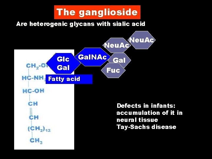 The ganglioside Are heterogenic glycans with sialic acid Neu. Ac Glc Gal. NAc Gal