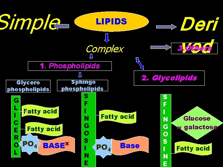 Simple Deri ved LIPIDS Complex 3. Others 1. Phospholipids Glycero phospholipids 2. Glycolipids Sphingo