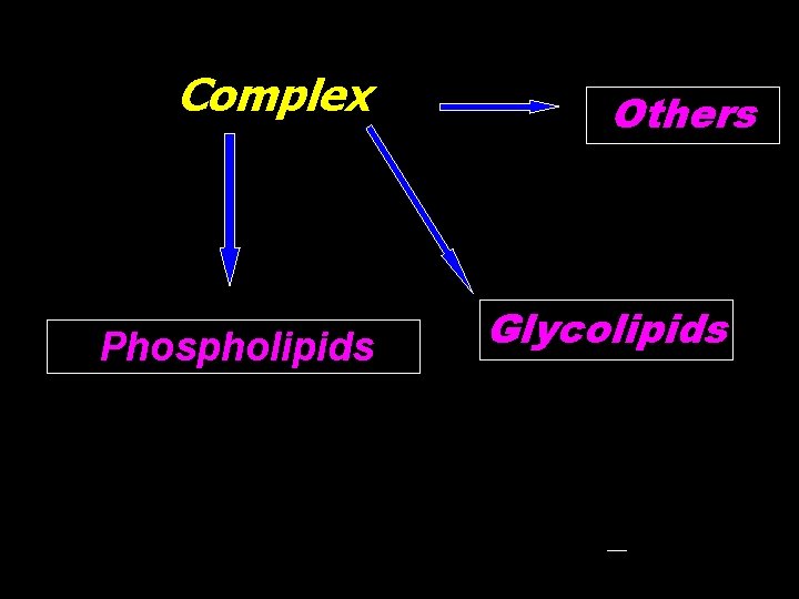 Complex Phospholipids Others Glycolipids 