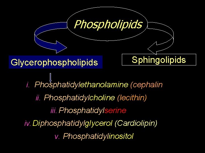 Phospholipids Glycerophospholipids Sphingolipids i. Phosphatidylethanolamine (cephalin ii. Phosphatidylcholine (lecithin) iii. Phosphatidylserine iv. Diphosphatidylglycerol (Cardiolipin)