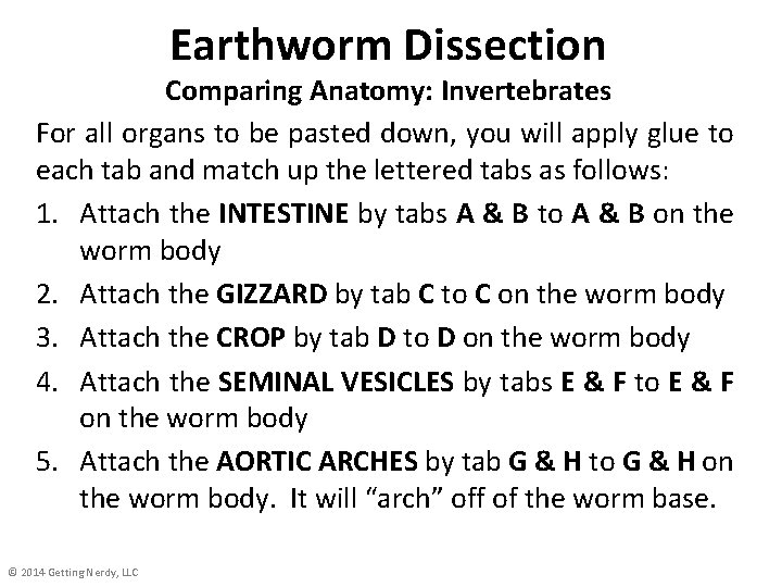 Earthworm Dissection Comparing Anatomy: Invertebrates For all organs to be pasted down, you will