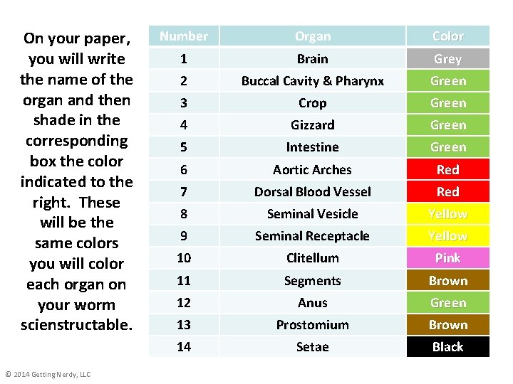 On your paper, you will write the name of the organ and then shade