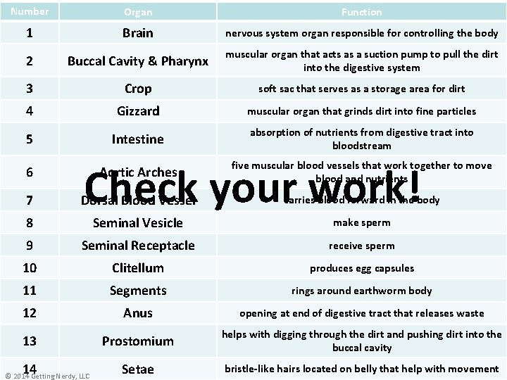 Number Organ Function 1 Brain nervous system organ responsible for controlling the body 2
