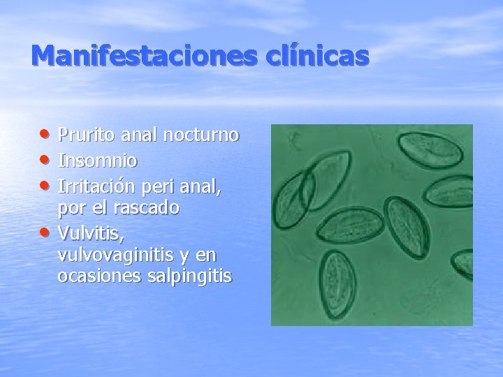 Manifestaciones clínicas • Prurito anal nocturno • Insomnio • Irritación peri anal, • por