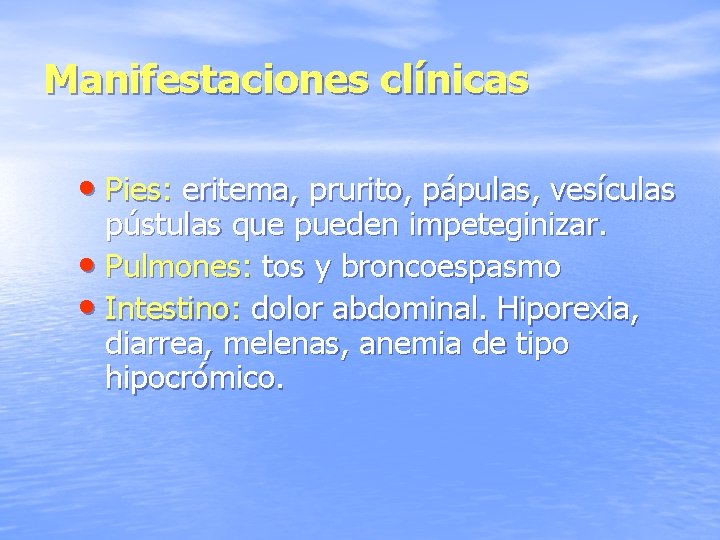Manifestaciones clínicas • Pies: eritema, prurito, pápulas, vesículas pústulas que pueden impeteginizar. • Pulmones: