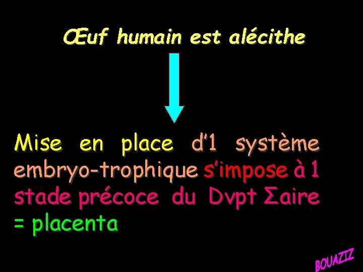 Œuf humain est alécithe Mise en place d’ 1 système embryo-trophique s’impose à 1