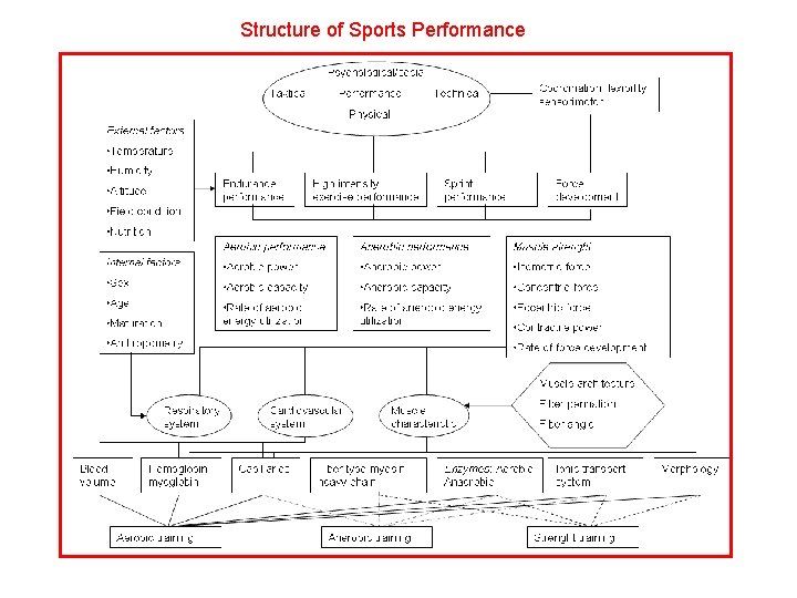 Structure of Sports Performance 
