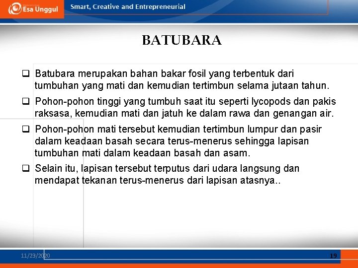 BATUBARA q Batubara merupakan bahan bakar fosil yang terbentuk dari tumbuhan yang mati dan