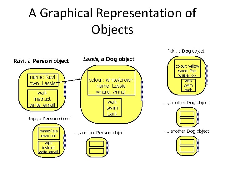 A Graphical Representation of Objects Paki, a Dog object Ravi, a Person object name: