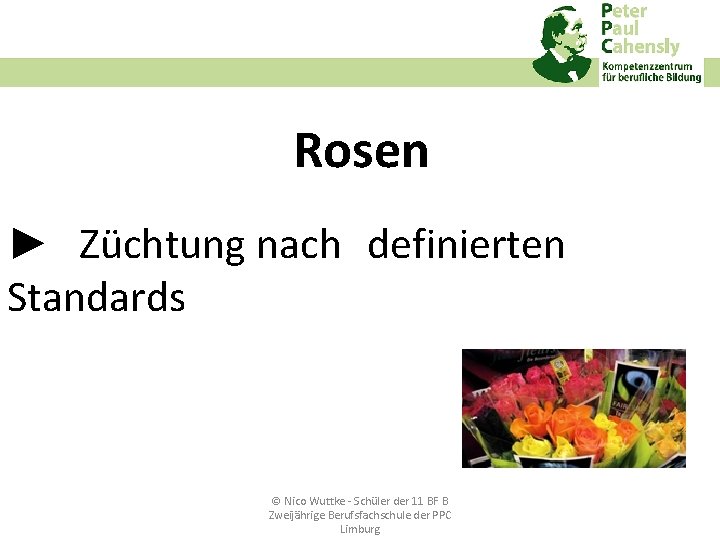 Rosen ► Züchtung nach definierten Standards © Nico Wuttke ‐ Schüler der 11 BF