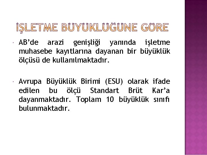  AB’de arazi genişliği yanında işletme muhasebe kayıtlarına dayanan bir büyüklük ölçüsü de kullanılmaktadır.