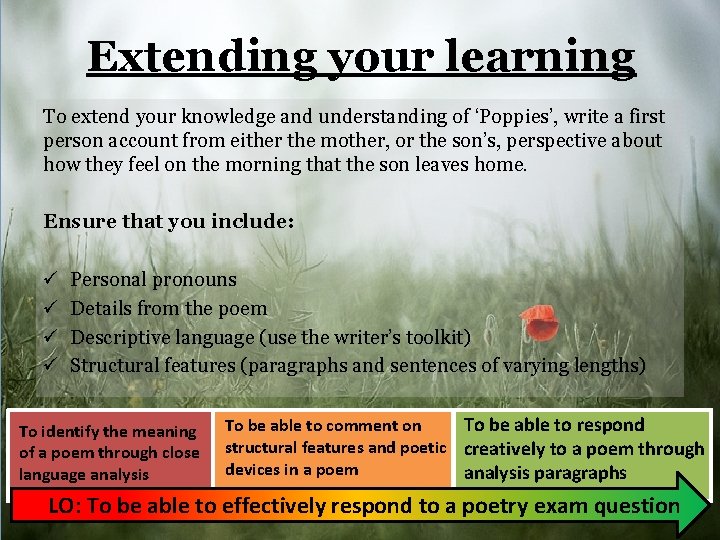 Extending your learning To extend your knowledge and understanding of ‘Poppies’, write a first