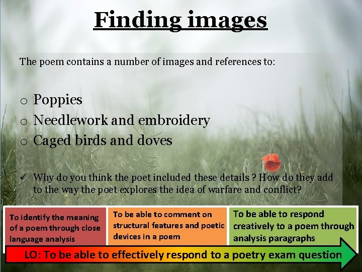 Finding images The poem contains a number of images and references to: o Poppies