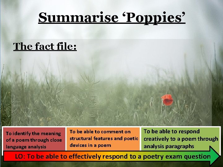 Summarise ‘Poppies’ The fact file: To identify the meaning of a poem through close