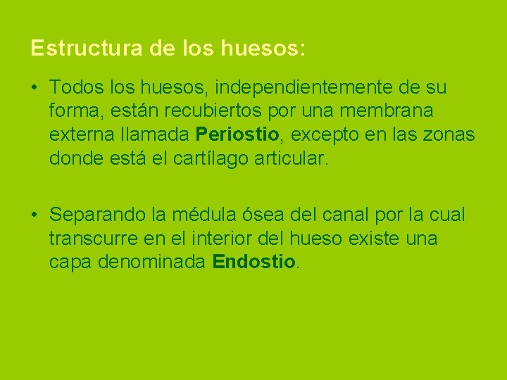 Estructura de los huesos: • Todos los huesos, independientemente de su forma, están recubiertos