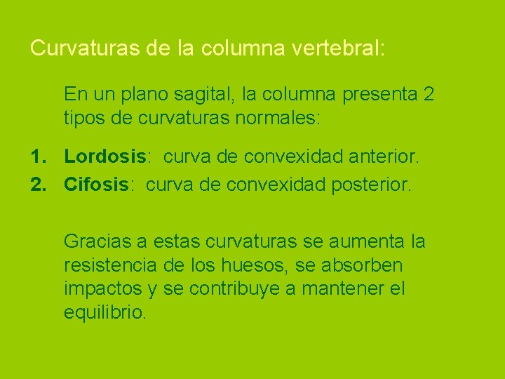 Curvaturas de la columna vertebral: En un plano sagital, la columna presenta 2 tipos