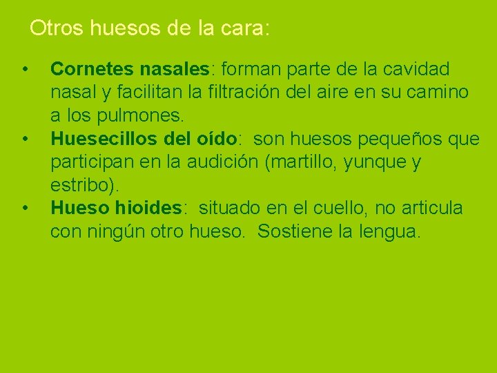 Otros huesos de la cara: • • • Cornetes nasales: forman parte de la