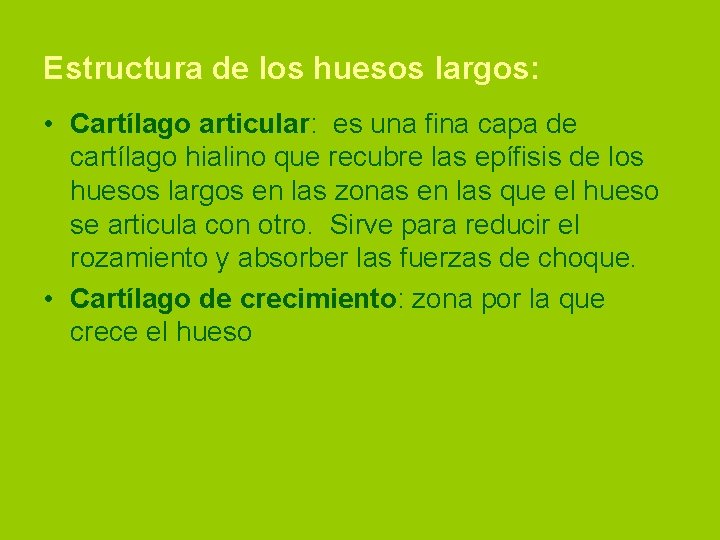 Estructura de los huesos largos: • Cartílago articular: es una fina capa de cartílago