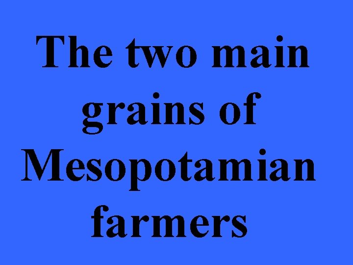 The two main grains of Mesopotamian farmers 