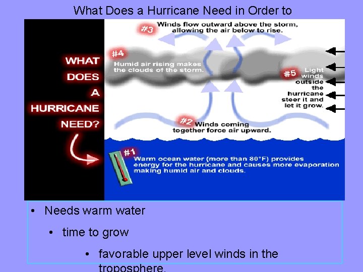 What Does a Hurricane Need in Order to Develop? • Needs warm water •