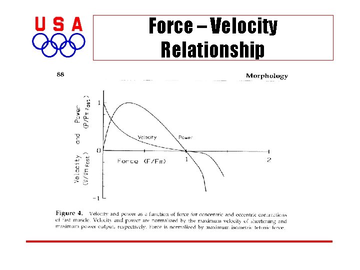 Force – Velocity Relationship 