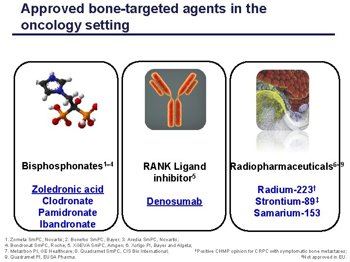Approved bone-targeted agents in the oncology setting Bisphonates 1 4 Zoledronic acid Clodronate Pamidronate