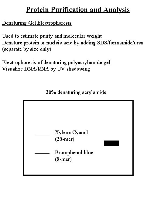 Protein Purification and Analysis Denaturing Gel Electrophoresis Used to estimate purity and molecular weight