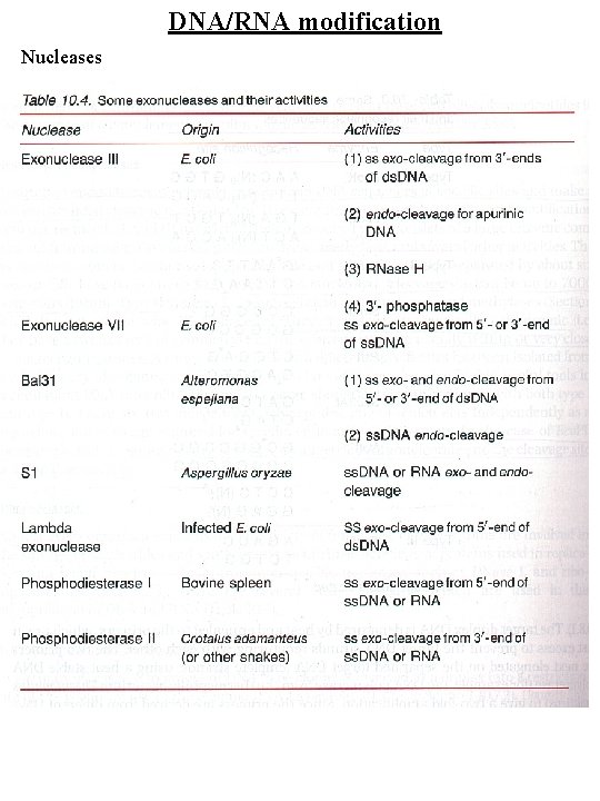 DNA/RNA modification Nucleases 