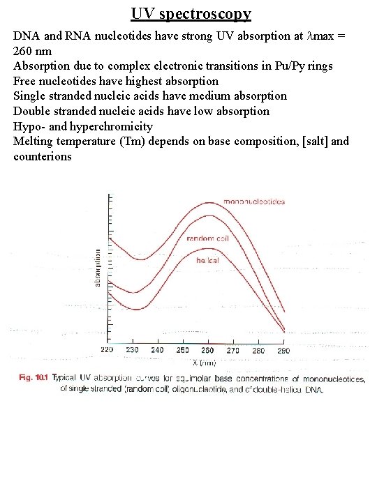 UV spectroscopy DNA and RNA nucleotides have strong UV absorption at lmax = 260