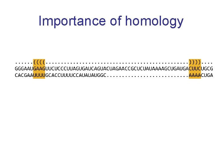 Importance of homology 