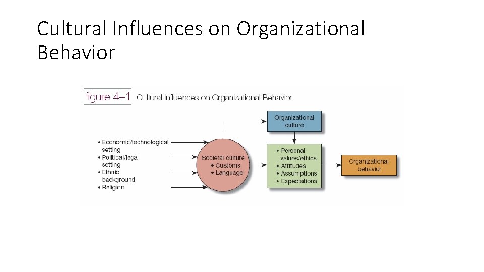 Cultural Influences on Organizational Behavior 