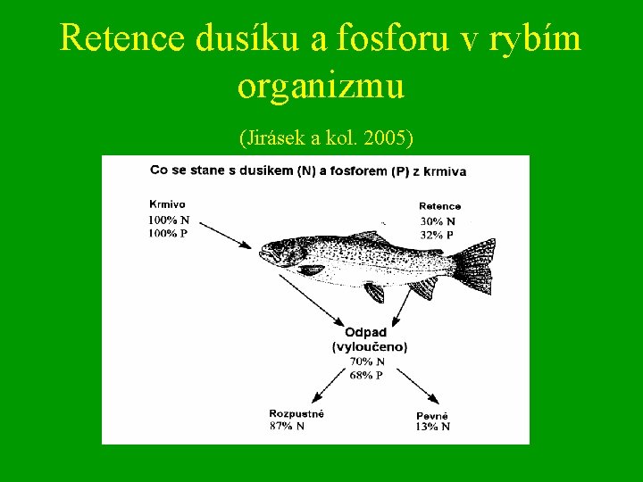 Retence dusíku a fosforu v rybím organizmu (Jirásek a kol. 2005) 