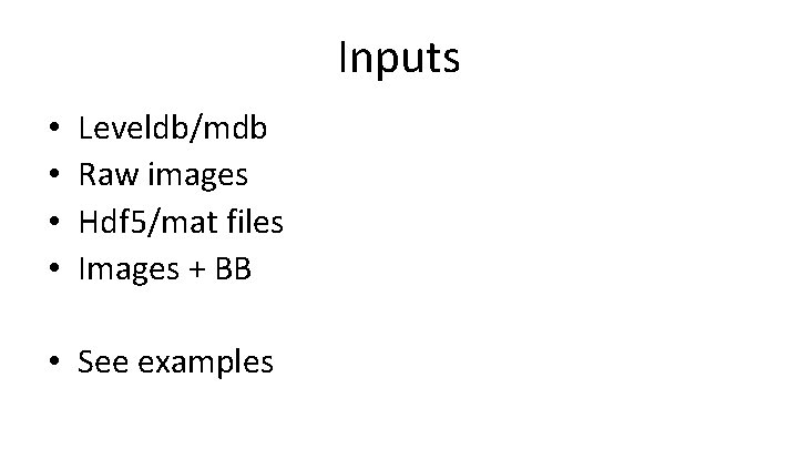 Inputs • • Leveldb/mdb Raw images Hdf 5/mat files Images + BB • See
