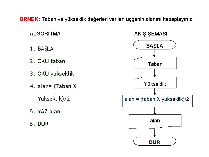 ÖRNEK: Taban ve yükseklik değerleri verilen üçgenin alanını hesaplayınız. ALGORİTMA 1. BAŞLA 2. OKU