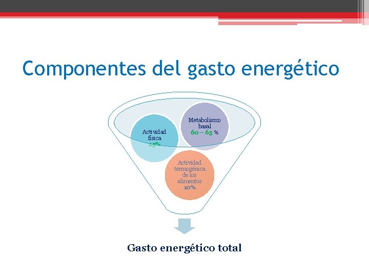 Componentes del gasto energético Actividad física 25% Metabolismo basal 60 – 65 % Actividad