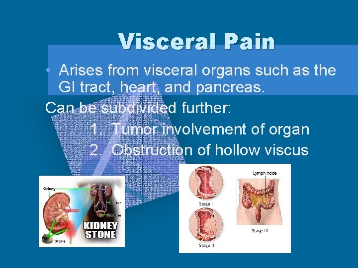 Visceral Pain • Arises from visceral organs such as the GI tract, heart, and