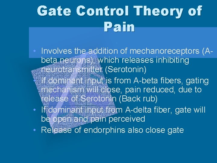 Gate Control Theory of Pain • Involves the addition of mechanoreceptors (Abeta neurons), which